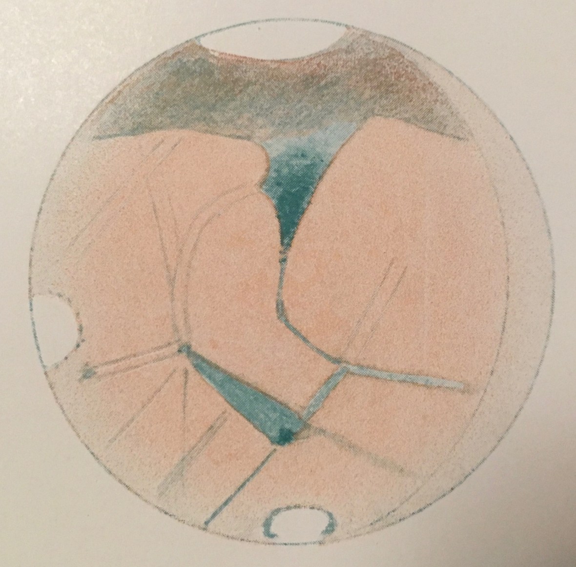 Color Plate from Lowell, 1906 03