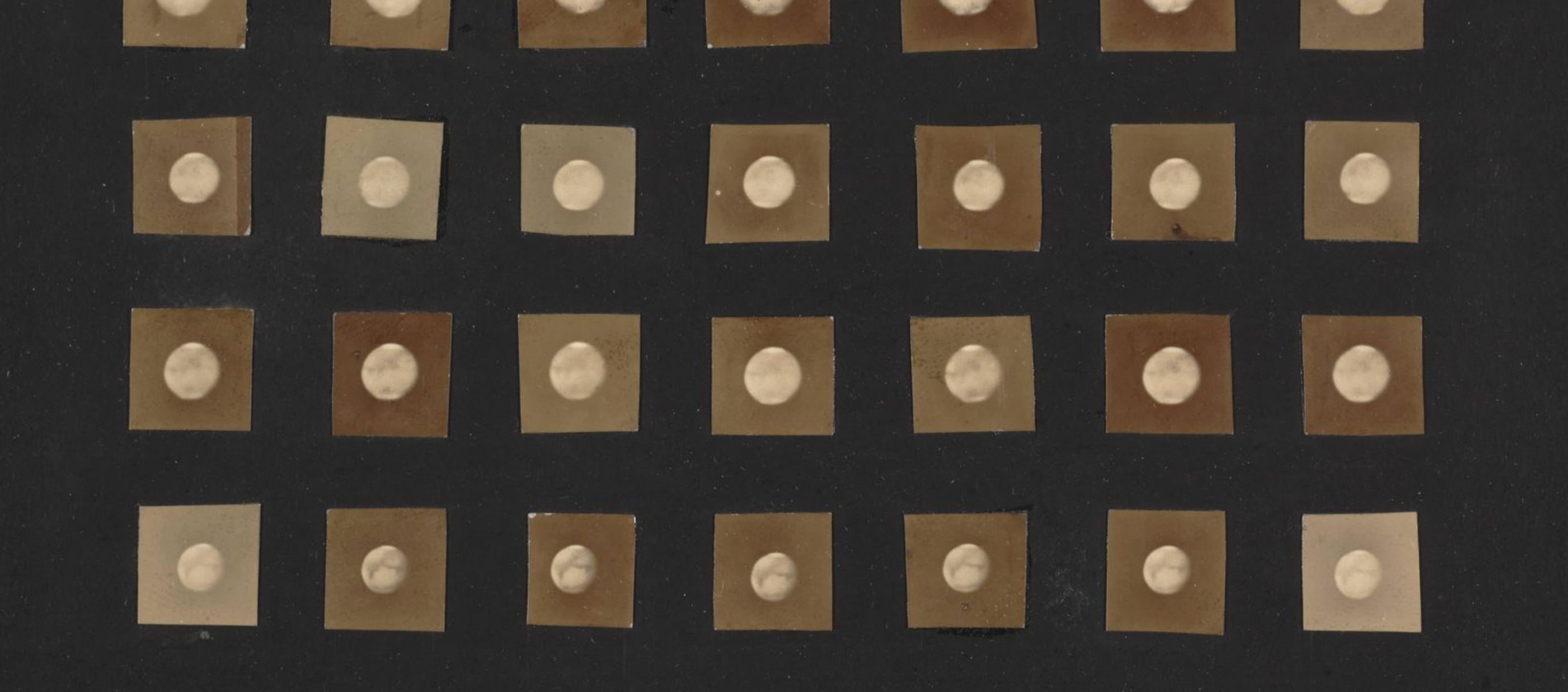 arl Otto Lampland, Twenty-eight views of Mars, 1907