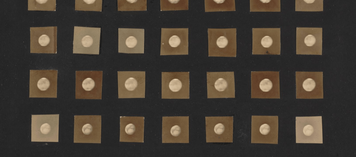 arl Otto Lampland, Twenty-eight views of Mars, 1907